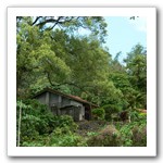 鴛鴦湖遺址旁如邱逢甲先生之樵隱山莊