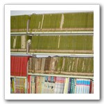 麗澤圖書館舊藏書