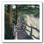 頭嵙山頂，五號登山步道