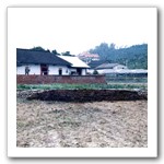 番仔田田園景觀