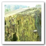 風動石光影斑駁，由此可眺望臺中市