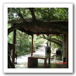 苧園巷之土地廟位於鴛鴦湖舊址的出水口處，十分幽靜